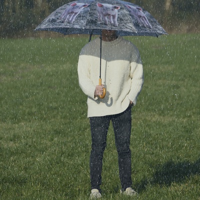 Paraguas Animales de Granja Color